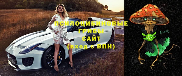 каннабис Пестово