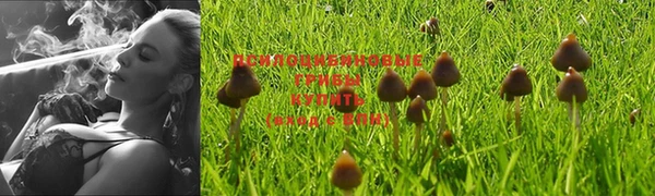 марки lsd Арсеньев