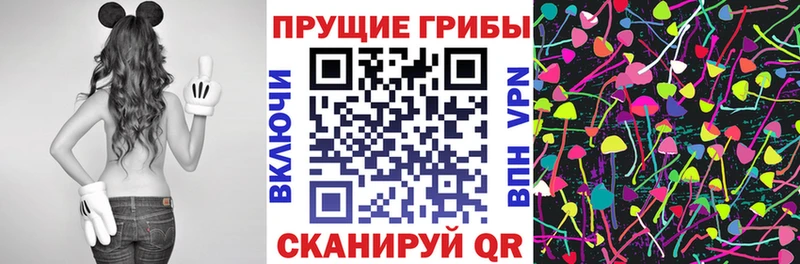 Галлюциногенные грибы мухоморы  даркнет клад  Бикин 